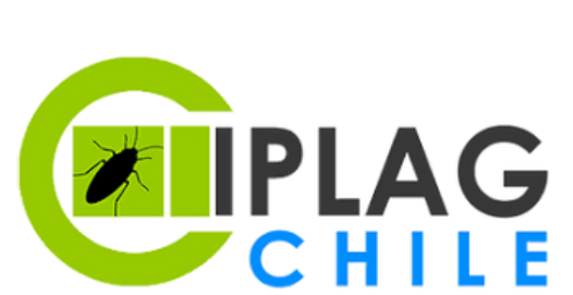 Iplag